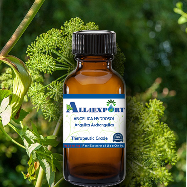 ANGELICA HYDROSOL