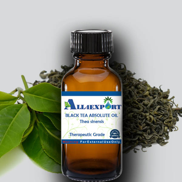 BLACK TEA ABSOLUTE OIL