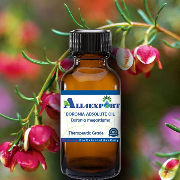 BORONIA ABSOLUTE OIL
