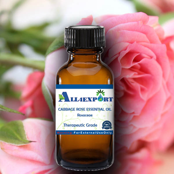 CABBAGE ROSE ESSENTIAL OIL