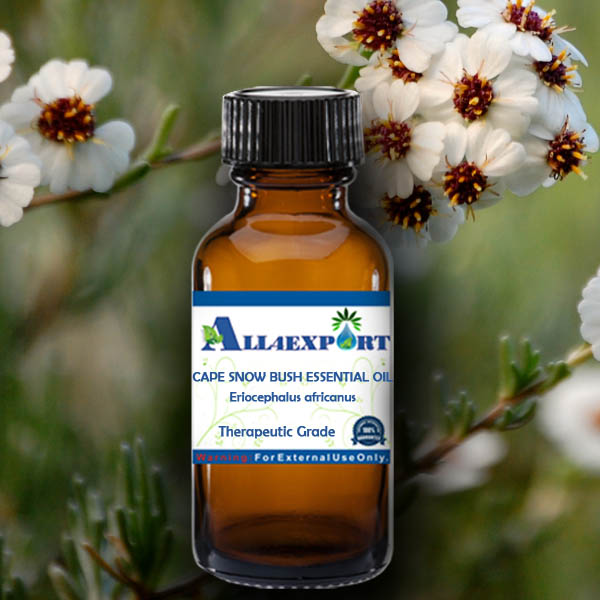 CAPE SNOW BUSH ESSENTIAL OIL