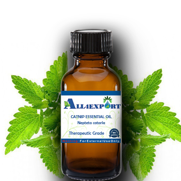 CATNIP ESSENTIAL OIL