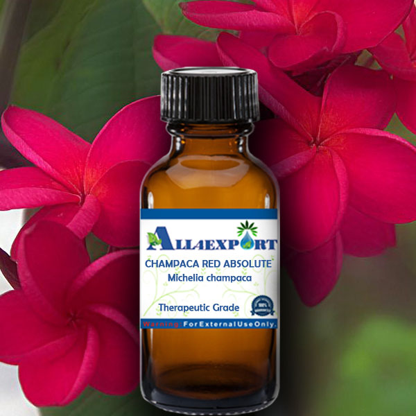 CHAMPACA RED ABSOLUTE OIL