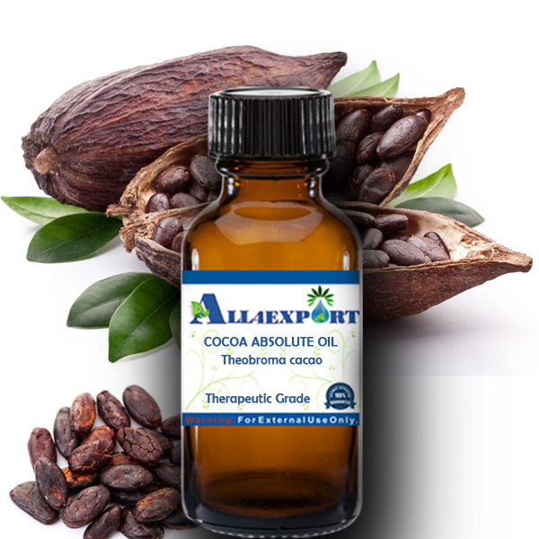 COCOA ABSOLUTE OIL