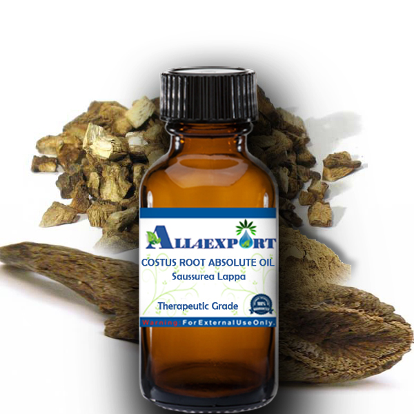 COSTUS ROOT ABSOLUTE OIL