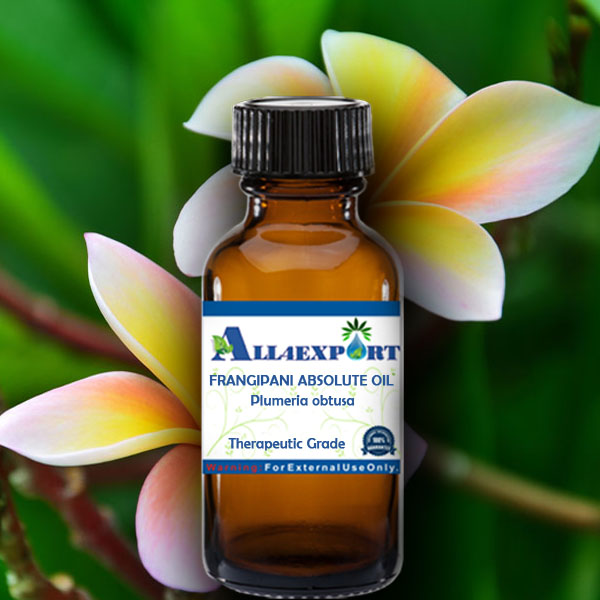 FRANGIPANI ABSOLUTE OIL
