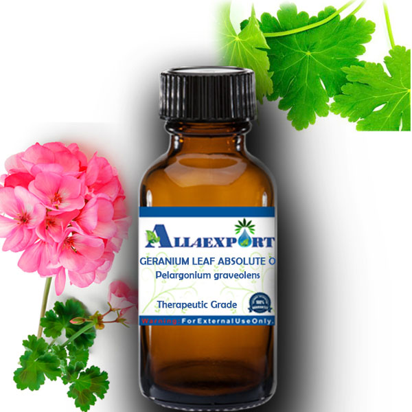 GERANIUM LEAF ABSOLUTE OIL