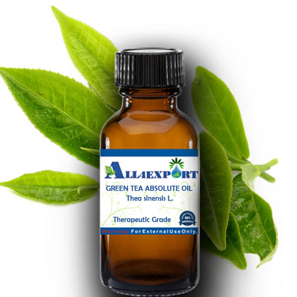 GREEN TEA ABSOLUTE OIL