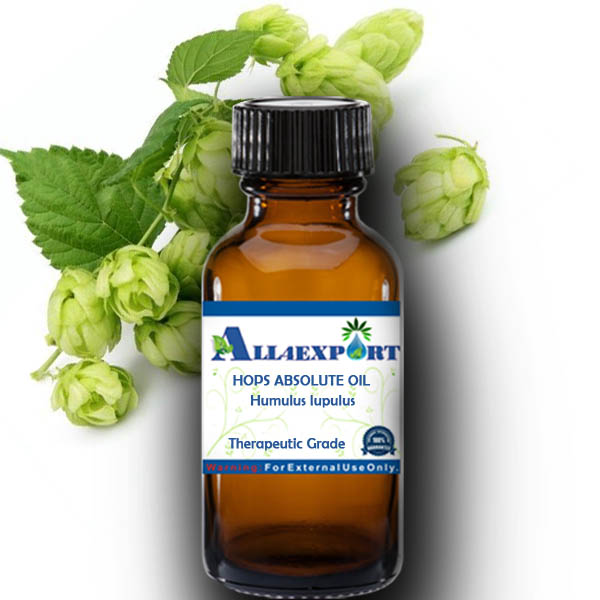 HOPS ABSOLUTE OIL