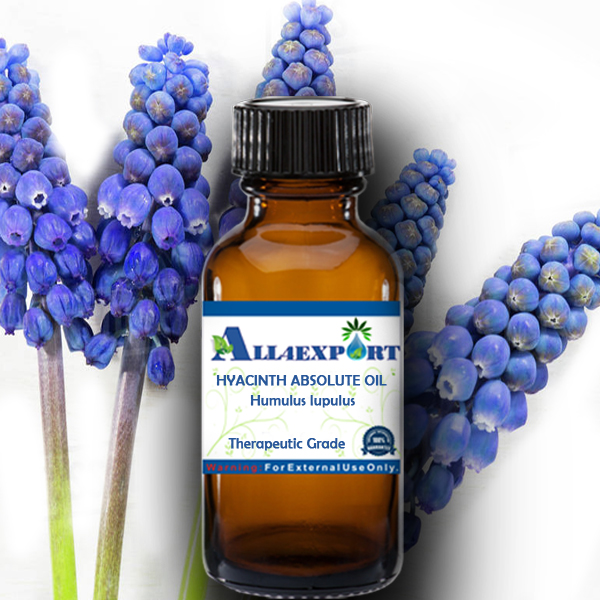 HYACINTH ABSOLUTE OIL