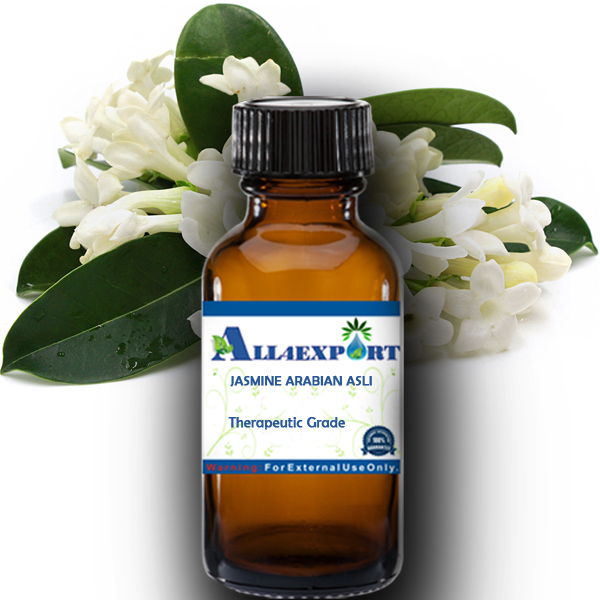 JASMINE ARABIAN ASLI