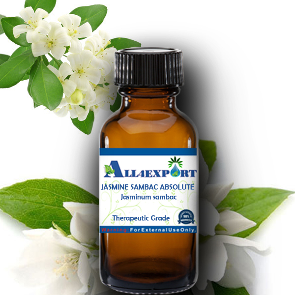 JASMINE SAMBAC ABSOLUTE OIL