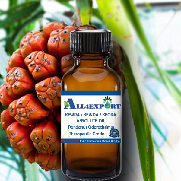 KEWRA / KEWDA / KEORA ABSOLUTE OIL