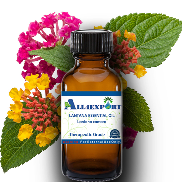 LANTANA ESSENTIAL OIL