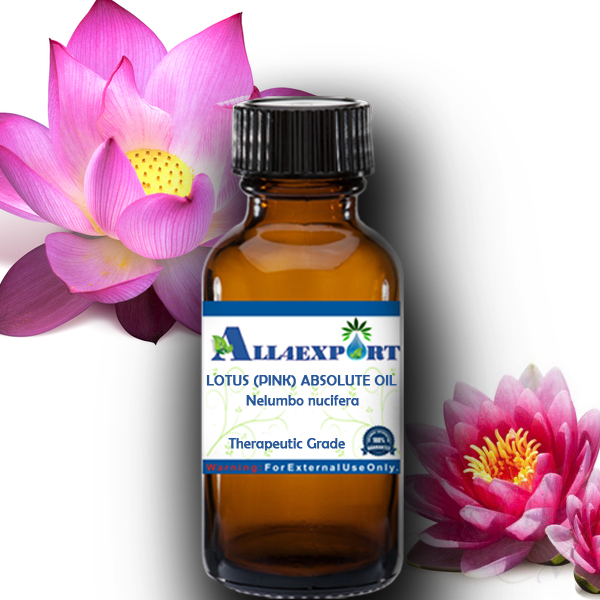 LOTUS (PINK) ABSOLUTE OIL