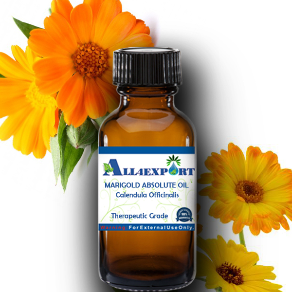 MARIGOLD ABSOLUTE OIL