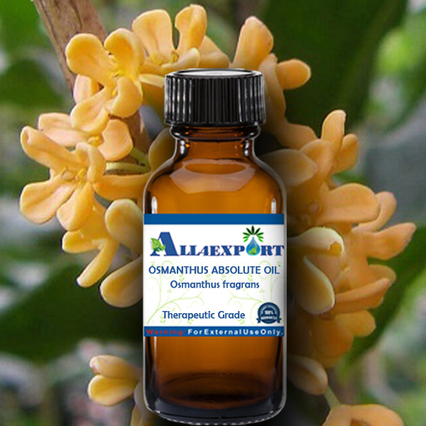 OSMANTHUS ABSOLUTE OIL