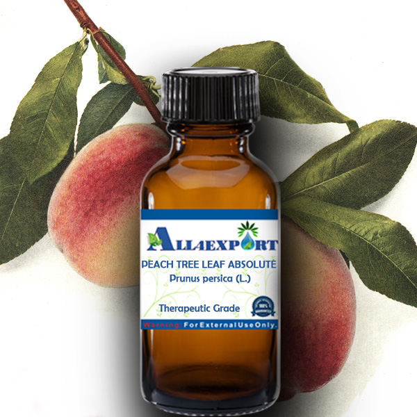 PEACH TREE LEAF ABSOLUTE OIL