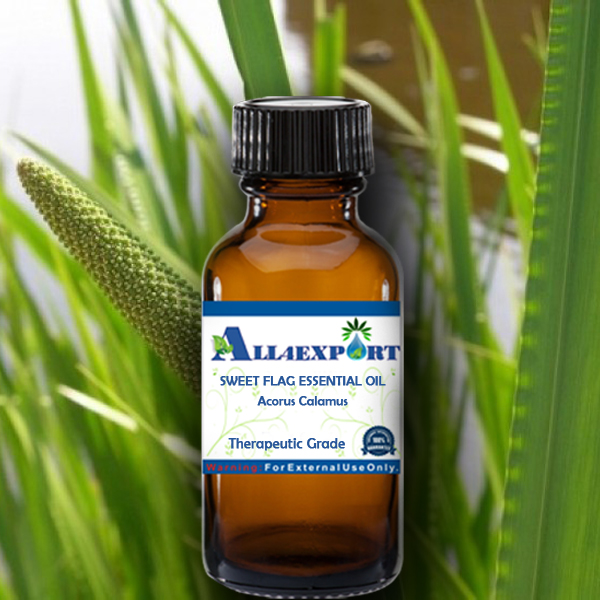 SWEET FLAG ESSENTIAL OIL