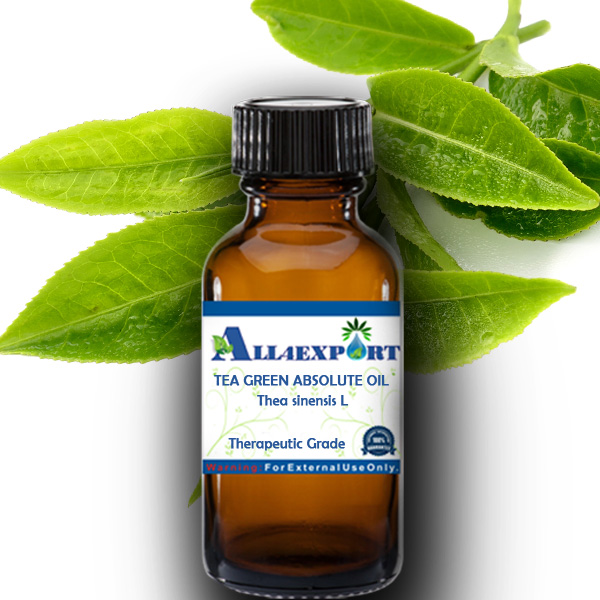 TEA GREEN ABSOLUTE OIL