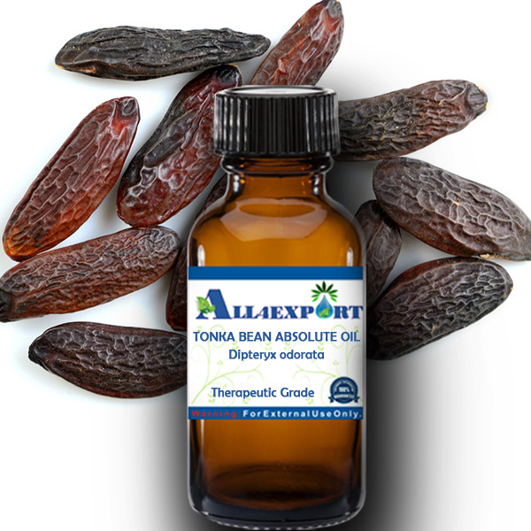 TONKA BEAN ABSOLUTE OIL