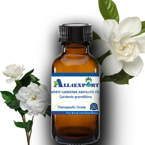 WHITE GARDENIA ABSOLUTE OIL