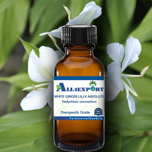 WHITE GINGER LILLY ABSOLUTE OIL