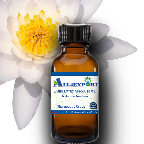 LOTUS WHITE ABSOLUTE OIL